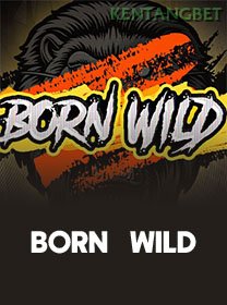 Born Wild game thumbnail